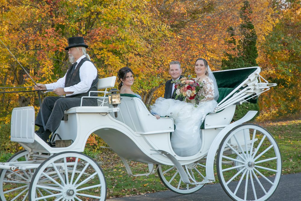 A couple is riding in the carriage with their wedding party.